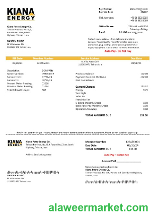 Iran Kiana Petro Energy Co business utility bill template in Word and PDF format